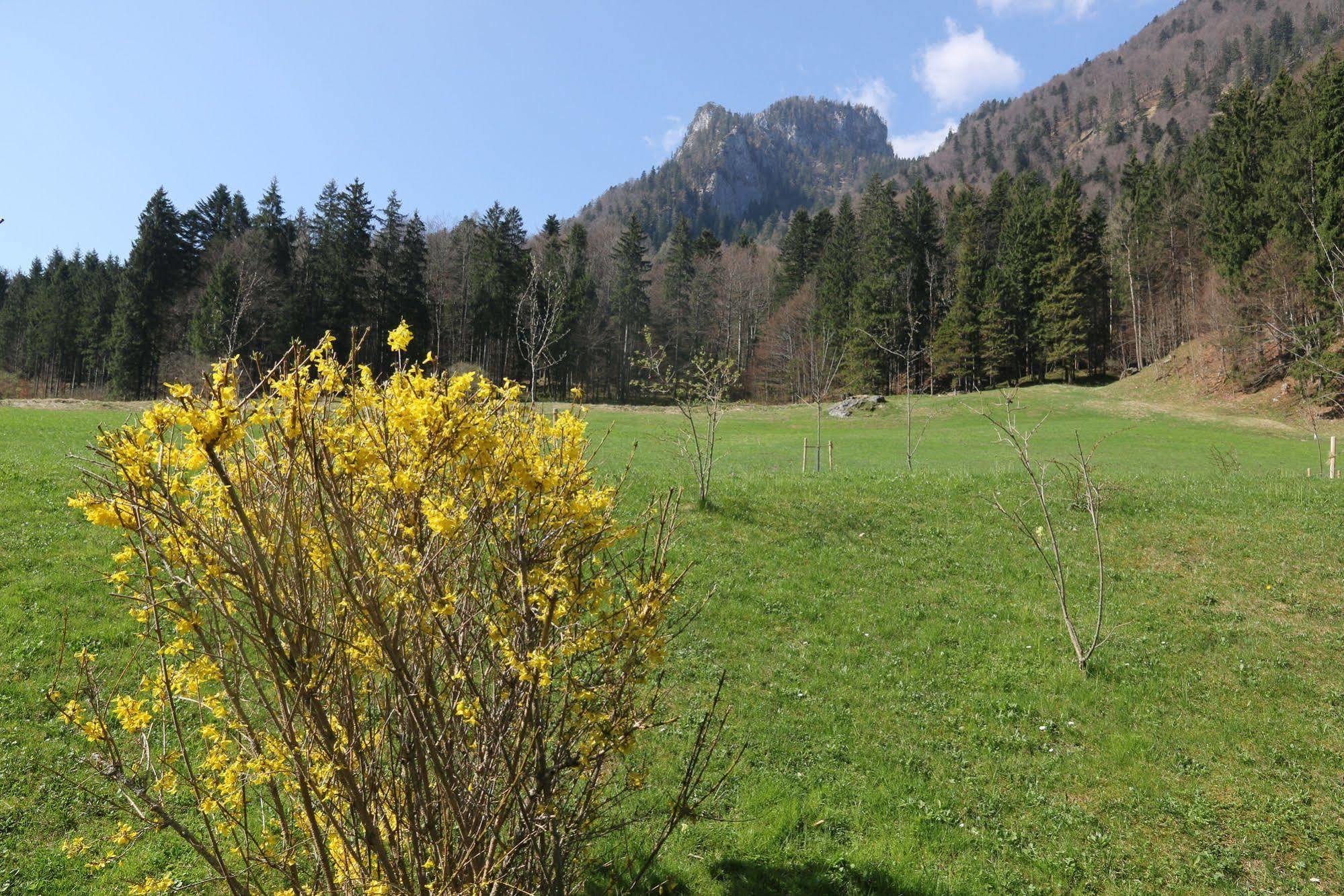 Chalets & Apartments Beim Waicher Ruhpolding Zewnętrze zdjęcie