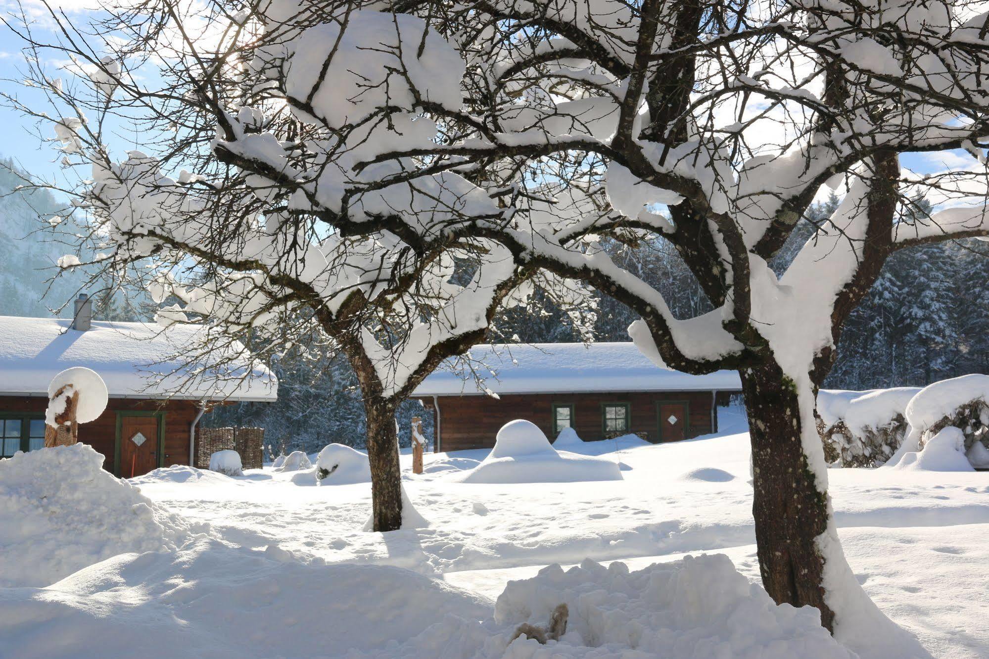 Chalets & Apartments Beim Waicher Ruhpolding Zewnętrze zdjęcie